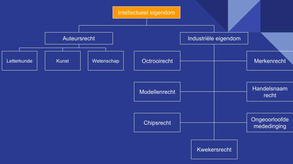 intellectueel eigendom vastleggen intellectueel eigendom vastleggen